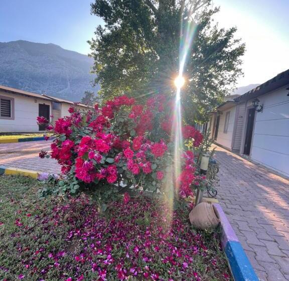 İpsos Hotel Beldi̇bi̇