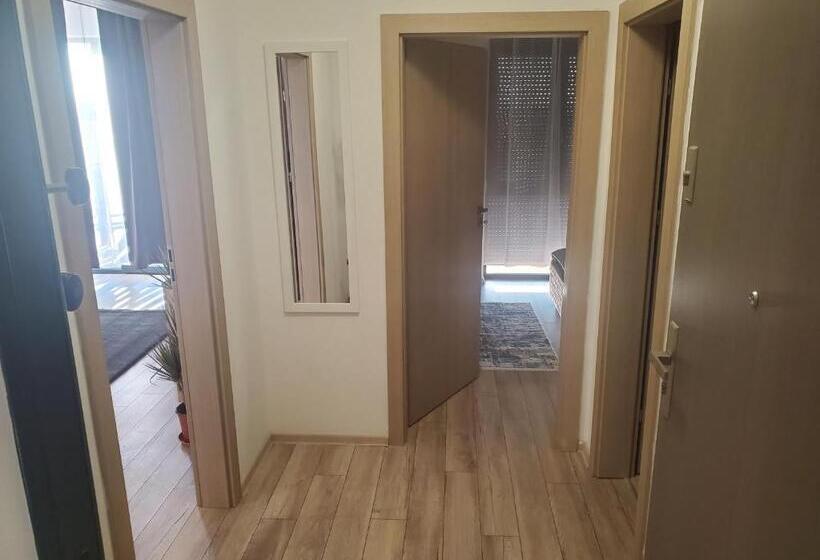 Apartamentul ștefan Băile Felix