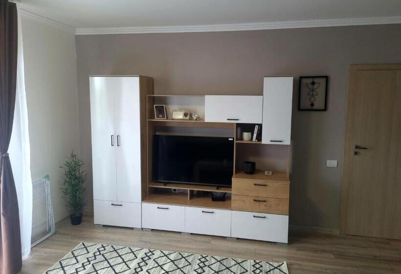 Apartamentul ștefan Băile Felix