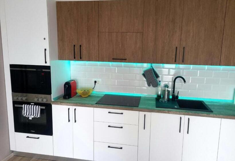 Apartamentul ștefan Băile Felix