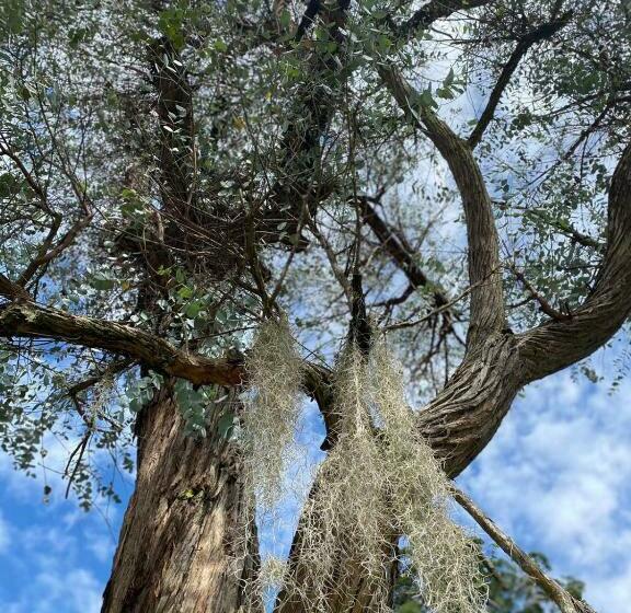 مبيت وإفطار Jardín Del Edén