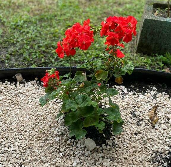 مبيت وإفطار Jardín Del Edén