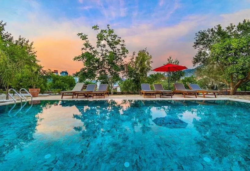 Elizya Boutique Otel