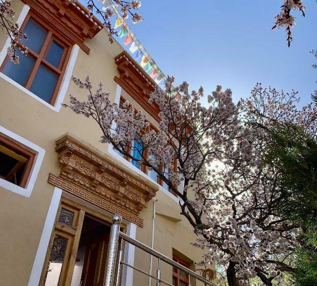 پانسیون Gaywoo Guest House