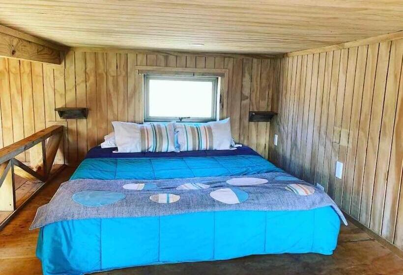 Pension Surf And Stay Chile