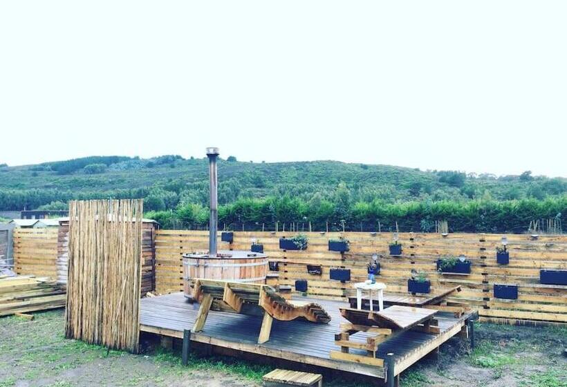 Pension Surf And Stay Chile