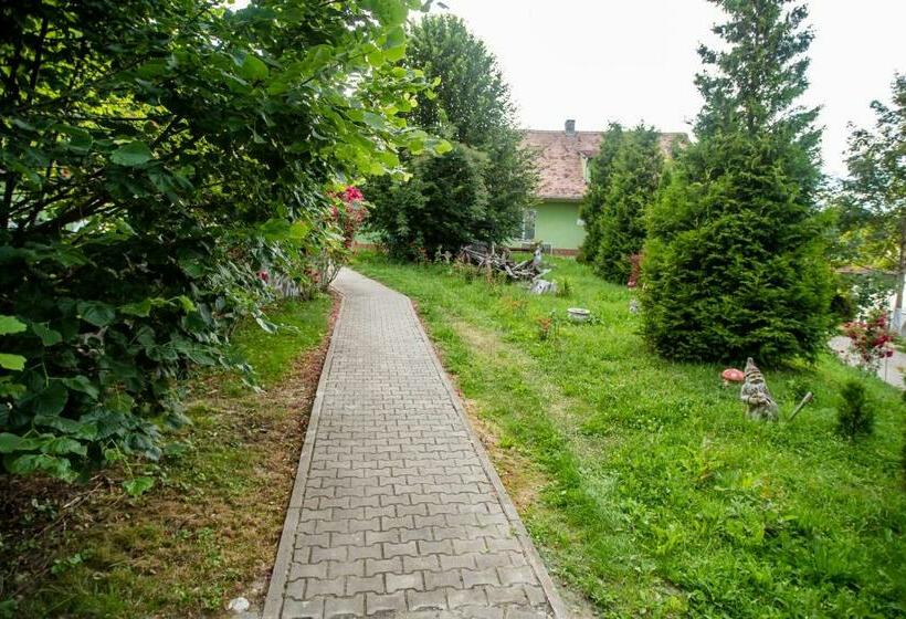 בית מלון כפרי Marion Poiana