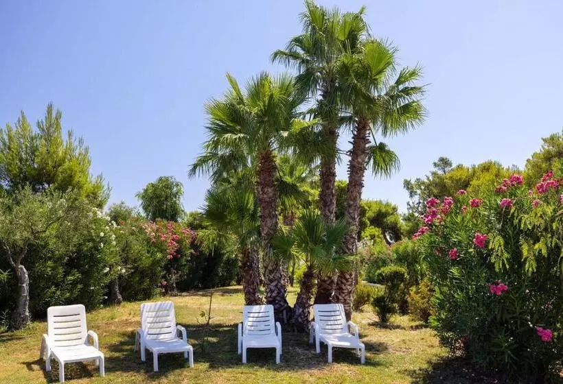 Aria Di Mare Vieste Luxury Apartments By The Sea