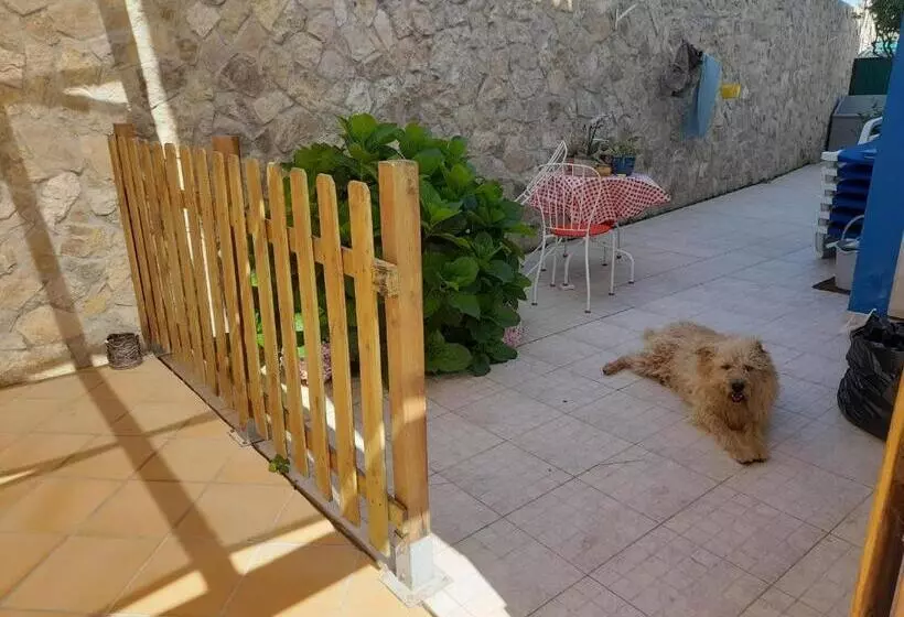 Aamiaismajoitus (B&B) Villa Alegria