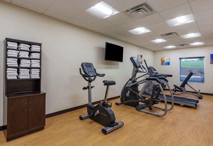 فندق Comfort Inn & Suites