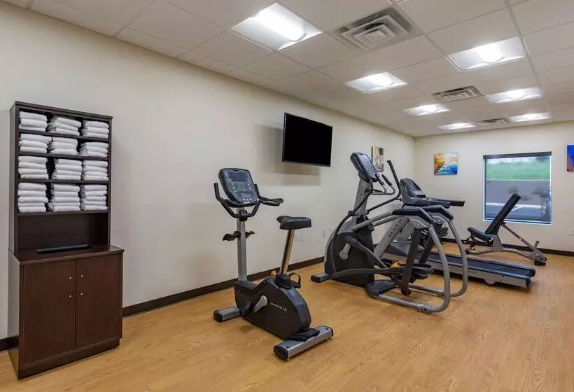 ホテル Comfort Inn & Suites