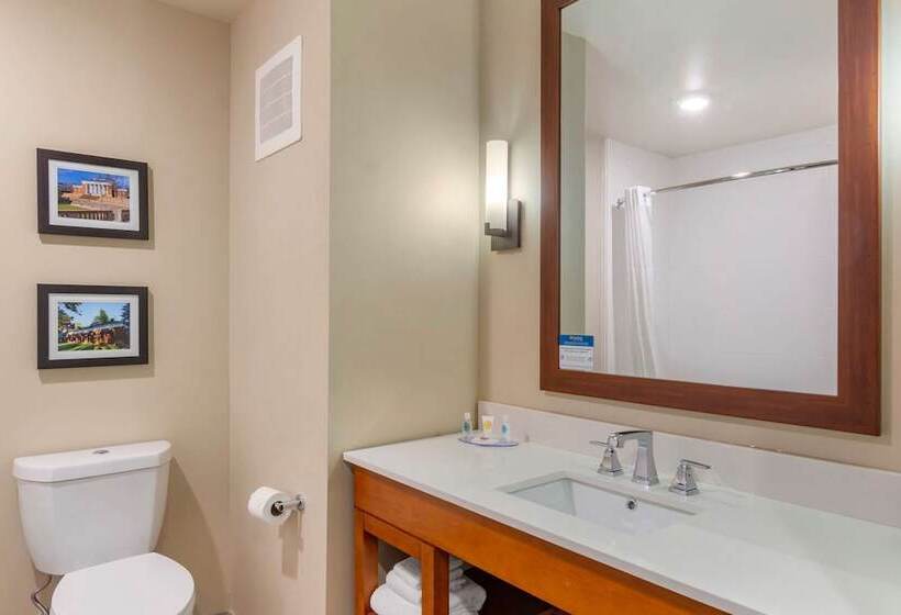 فندق Comfort Inn & Suites