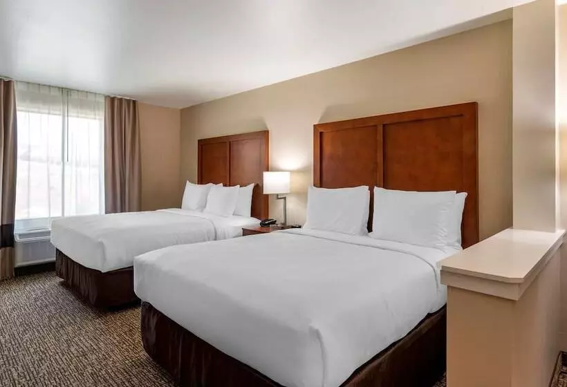 ホテル Comfort Inn & Suites