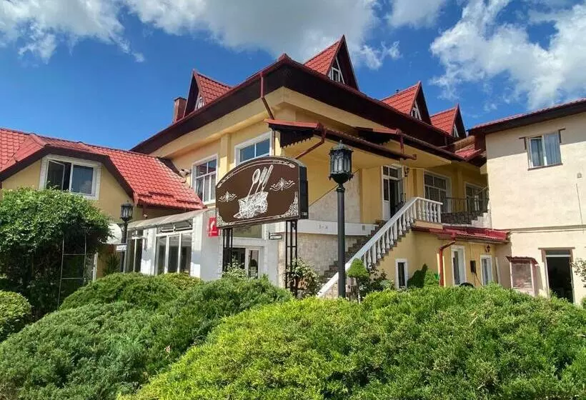 هتل Pensiunea Viena