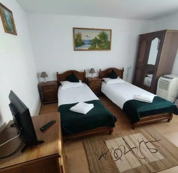 هتل Pensiunea Viena