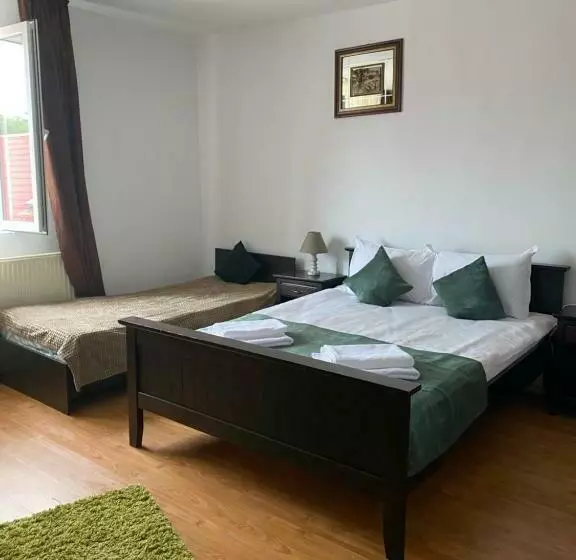 هتل Pensiunea Viena