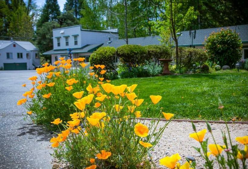 فندق على الطريق Outside Inn