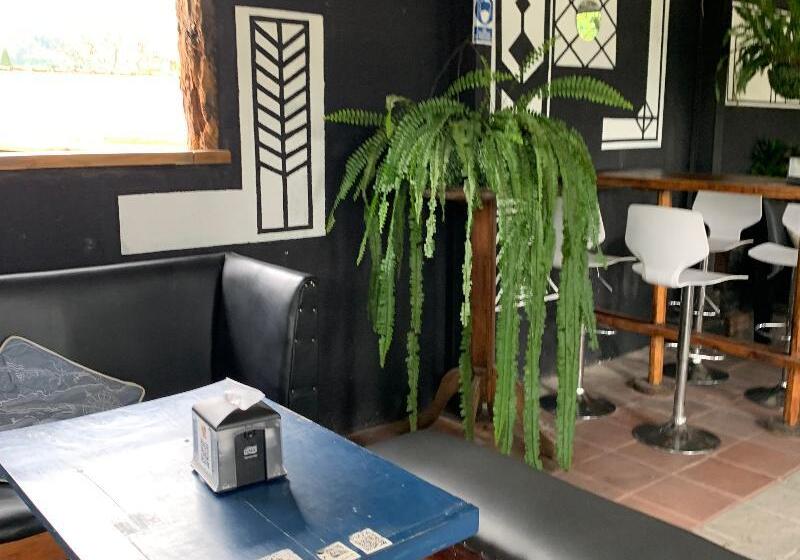 پانسیون Volko Party Hostel