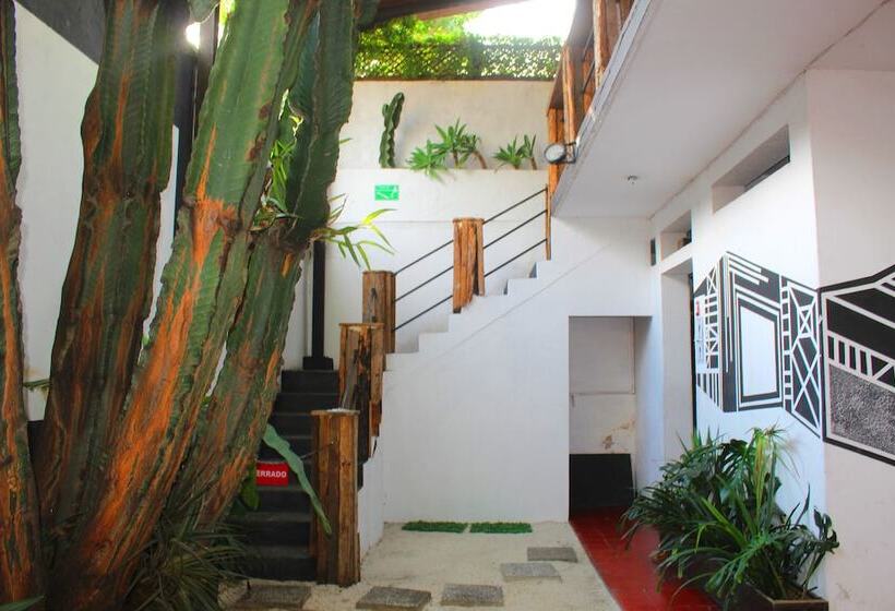 پانسیون Volko Party Hostel