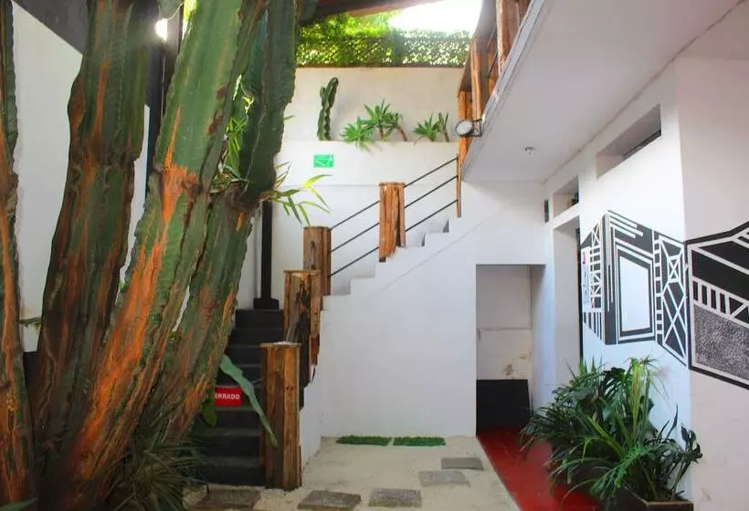 پانسیون Volko Party Hostel