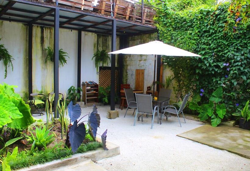 پانسیون Volko Party Hostel