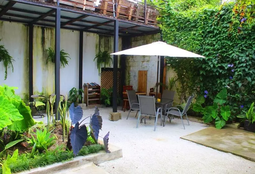 پانسیون Volko Party Hostel
