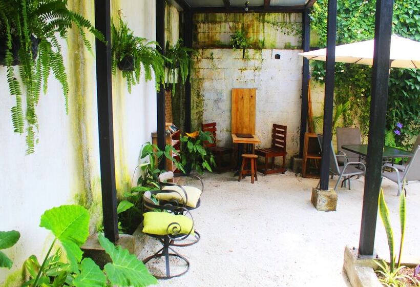 پانسیون Volko Party Hostel