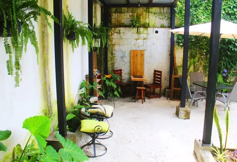پانسیون Volko Party Hostel