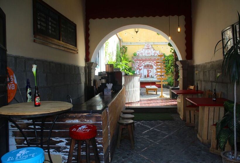 پانسیون Volko Party Hostel