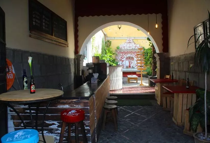 پانسیون Volko Party Hostel
