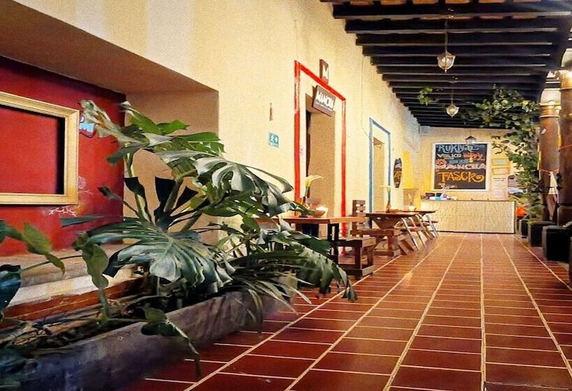 پانسیون Volko Party Hostel