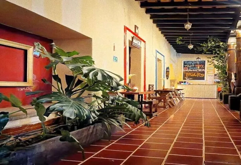 پانسیون Volko Party Hostel