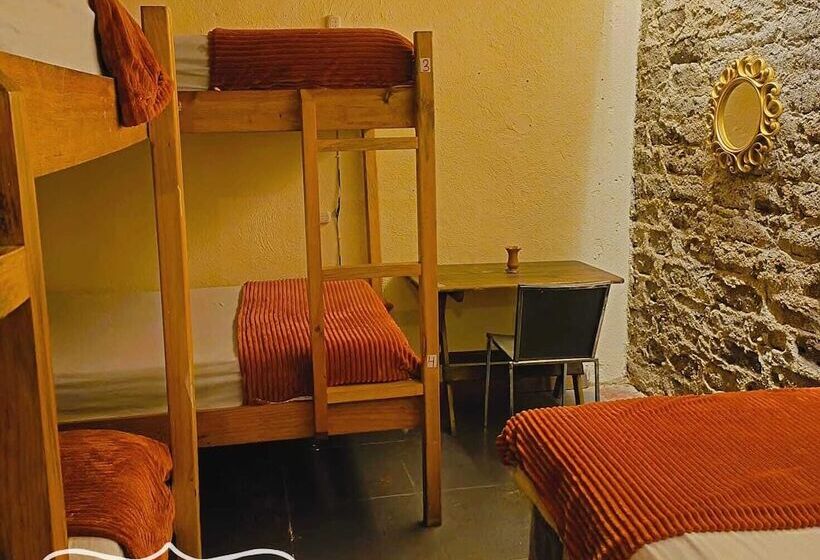 پانسیون Volko Party Hostel