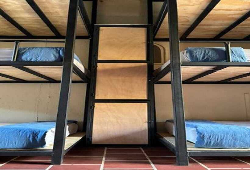 پانسیون Volko Party Hostel