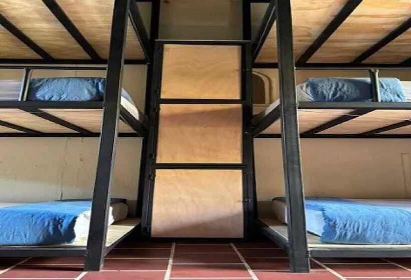 پانسیون Volko Party Hostel