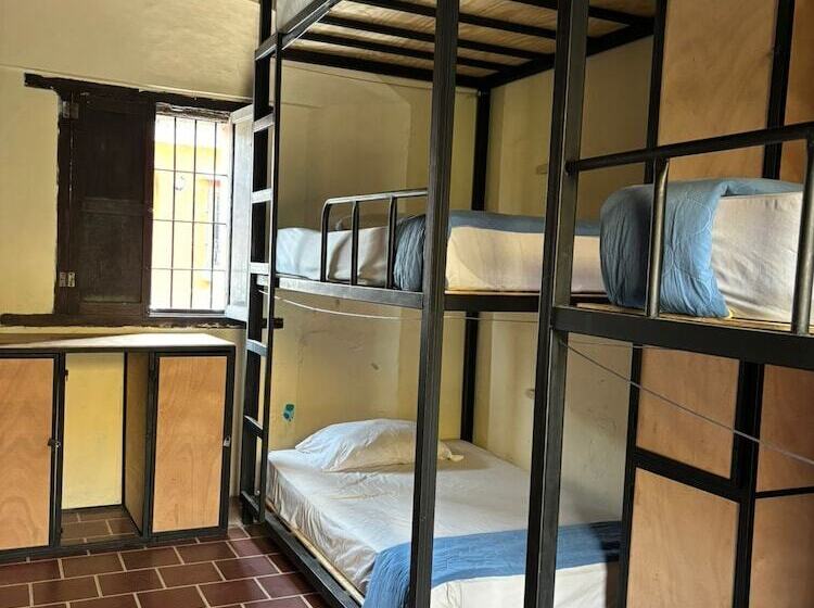 پانسیون Volko Party Hostel