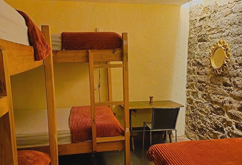 پانسیون Volko Party Hostel