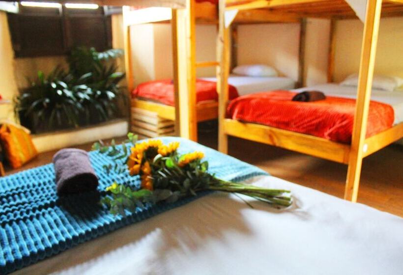 پانسیون Volko Party Hostel