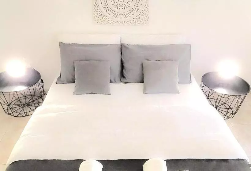 B&b Excelsior
