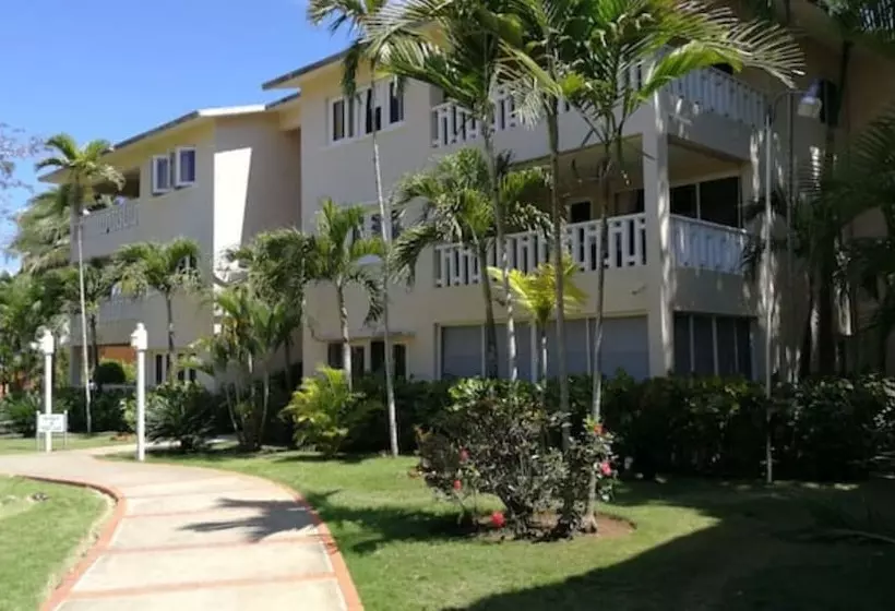 Majatalo Room In Apartment   Delightful Caribbean Apartment In Boca Chica