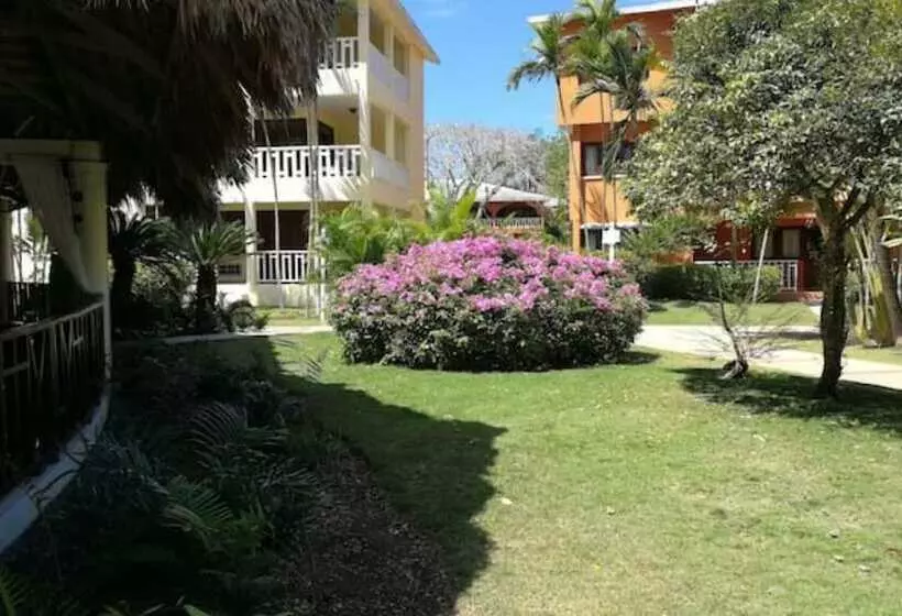 Majatalo Room In Apartment   Delightful Caribbean Apartment In Boca Chica