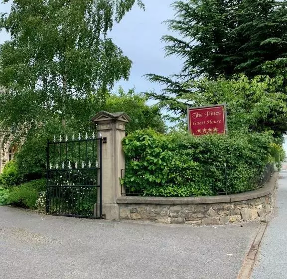 Majatalo The Pines Guest House