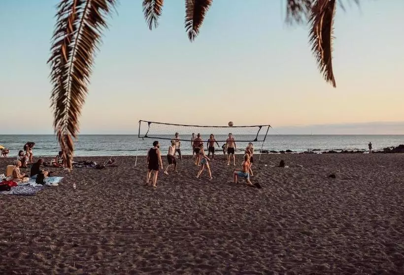 Hostel Los Amigos Yoga & Wellness