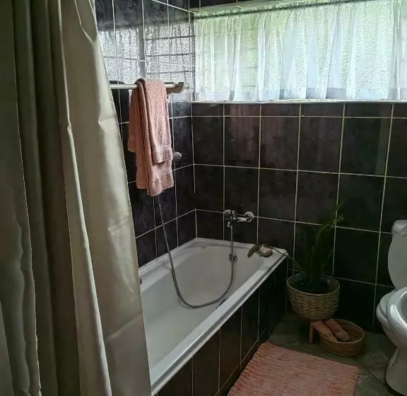 ペンション Vesa Guesthouse