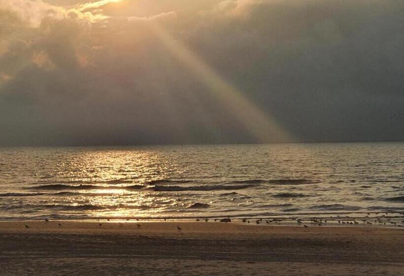 Bed and Breakfast Cozy Garden House Kijkduin Beach