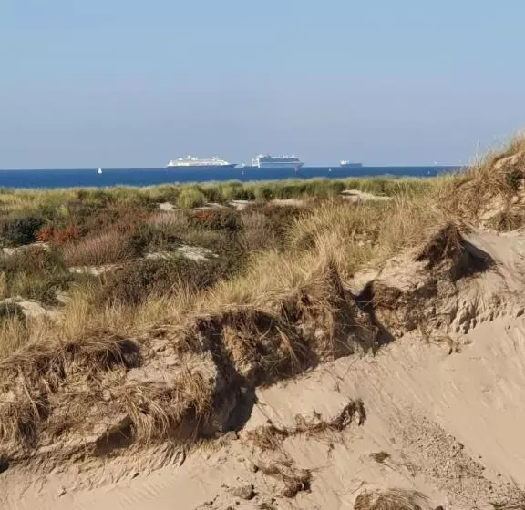 تختخواب و صبحانه Cozy Garden House Kijkduin Beach