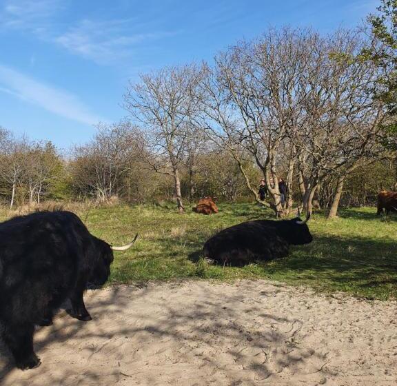 Bed and Breakfast Cozy Garden House Kijkduin Beach