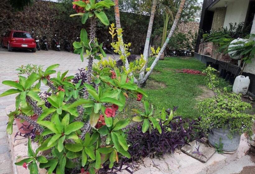 هتل Premier Rioverde