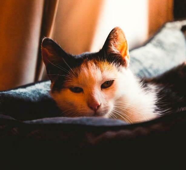 Wellness Hotel Liberecká Výšina