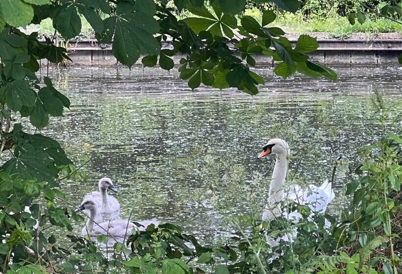 Капсульный Oтель Central Room